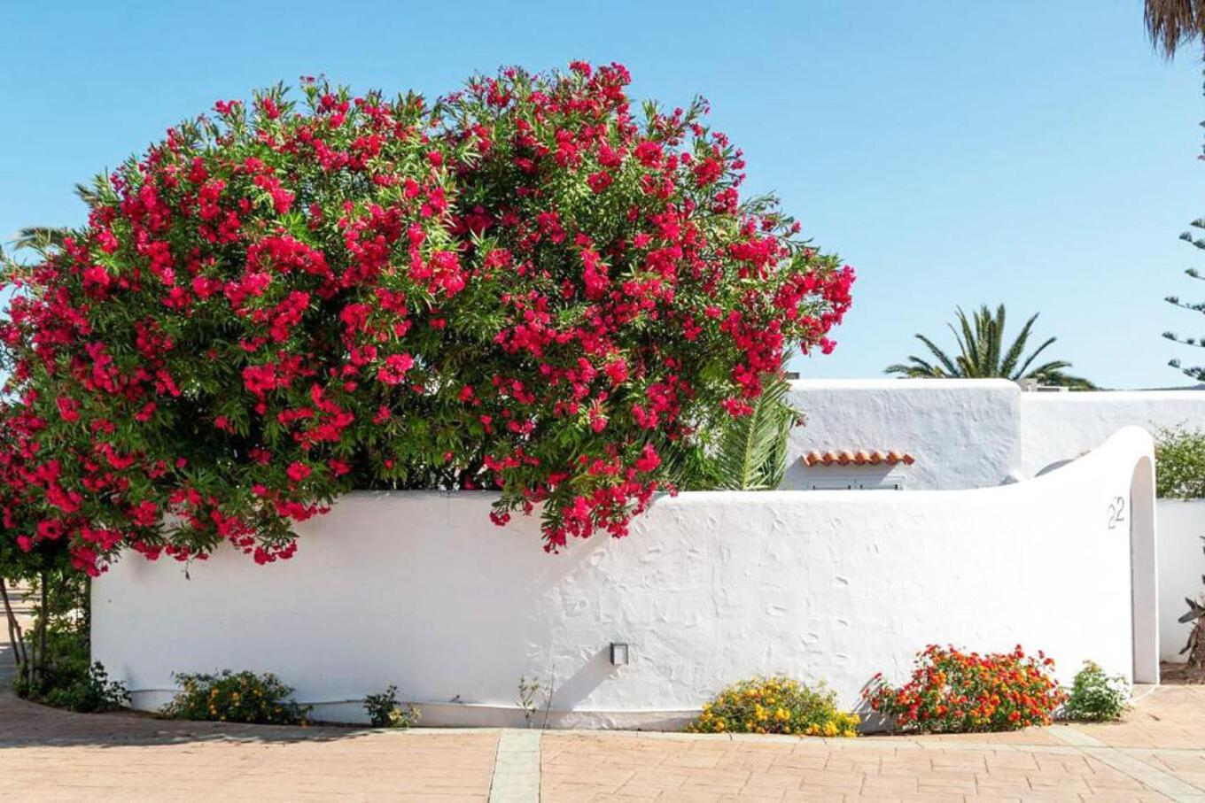 Villa Residencial Bogamari Sant Antoni de Portmany Esterno foto